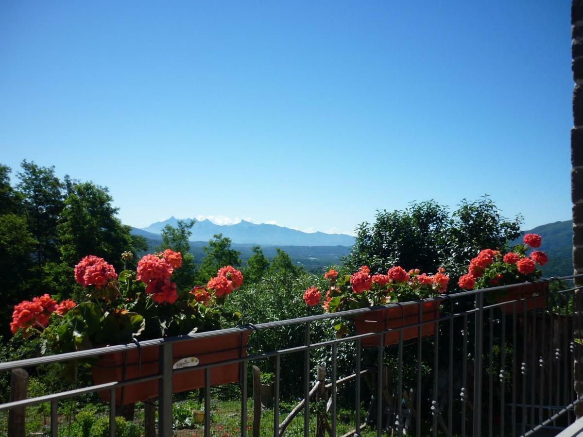 蓬特雷莫利Il Poggio Di Traverde住宿加早餐旅馆 外观 照片