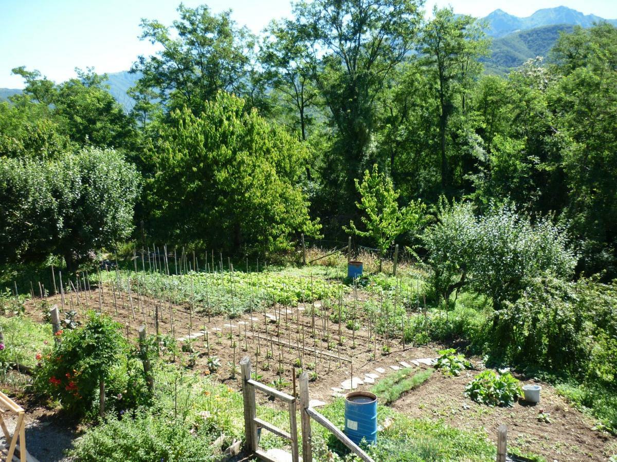 蓬特雷莫利Il Poggio Di Traverde住宿加早餐旅馆 外观 照片