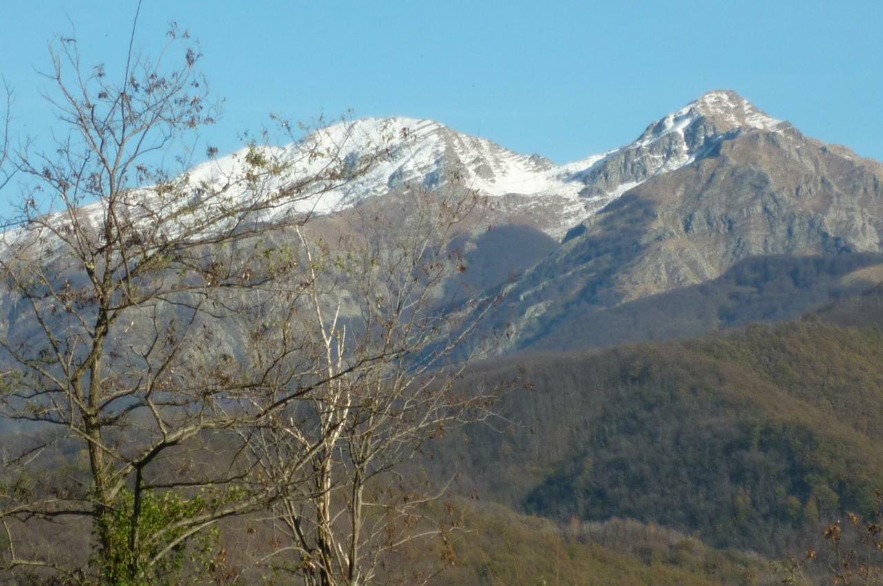 蓬特雷莫利Il Poggio Di Traverde住宿加早餐旅馆 外观 照片