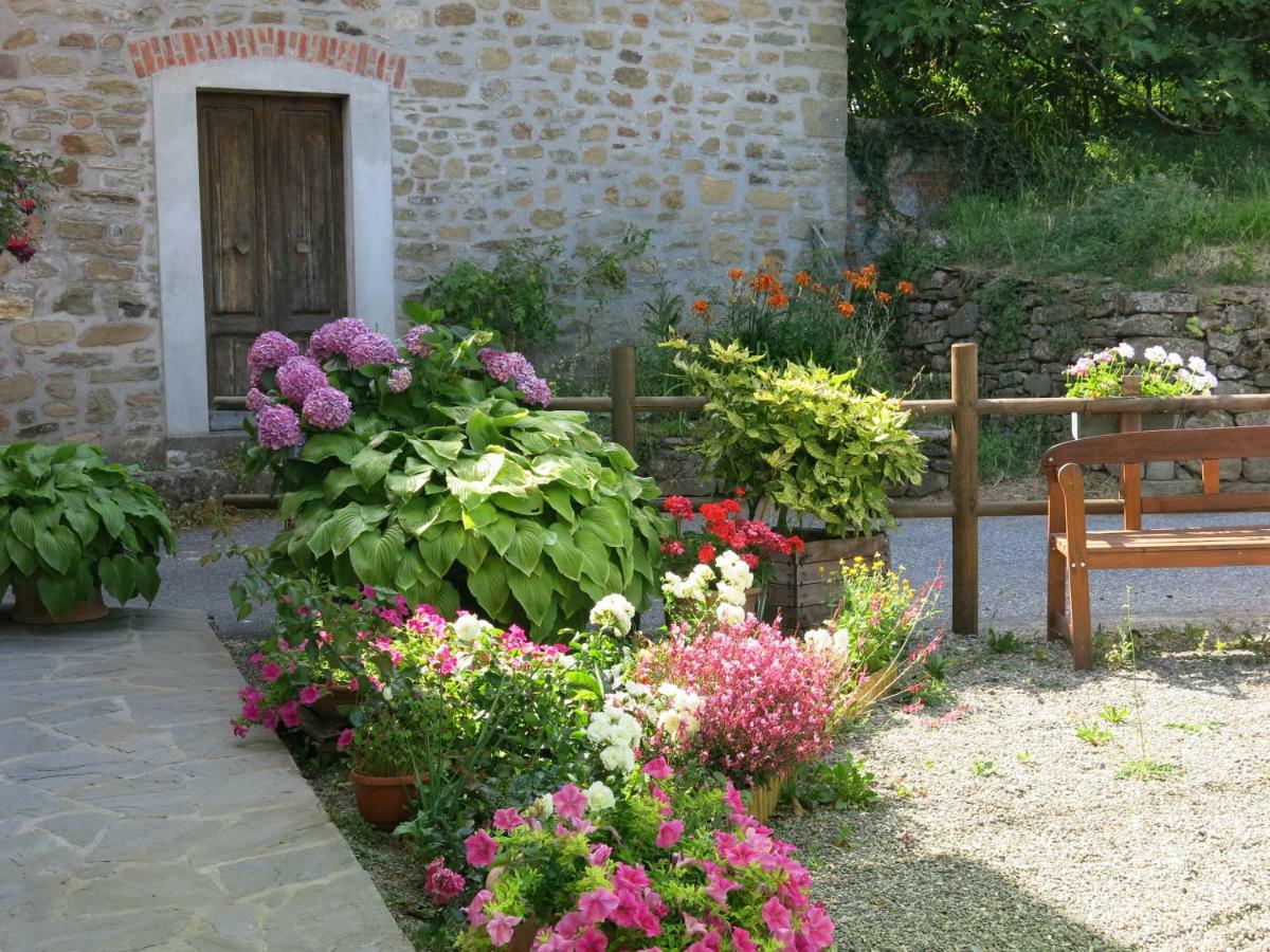 蓬特雷莫利Il Poggio Di Traverde住宿加早餐旅馆 外观 照片