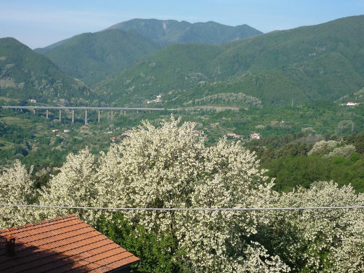 蓬特雷莫利Il Poggio Di Traverde住宿加早餐旅馆 外观 照片